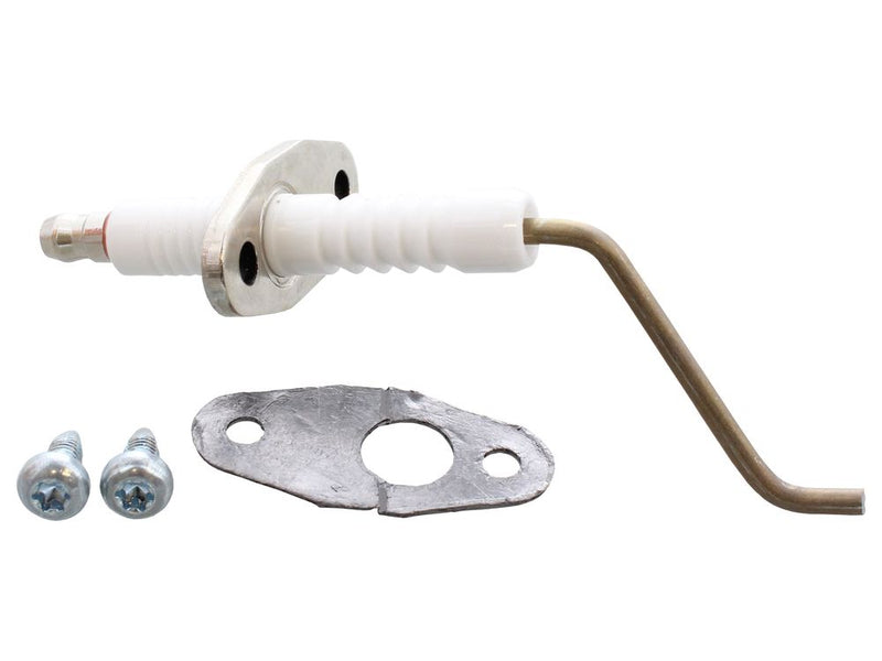 Ideal Detection Electrode With Gasket & Screws