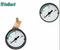 VAILLANT 101271 TURBO MAX VUW 242/2 282/2 362/2 RANGE BOILER PRESSURE GAUGE (BRAND NEW)